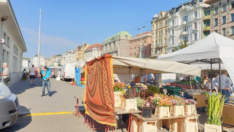 לדירות למכירה בוינה - עיר חביבה על ישראלים